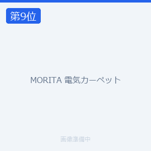 MORITA 電気カーペット