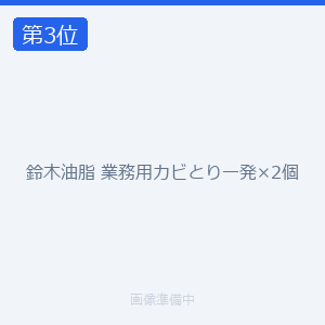 鈴木油脂 業務用カビとり一発×2個