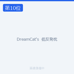 DreamCat's  低反発枕